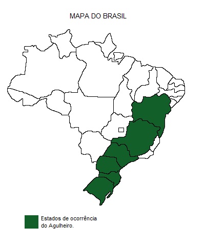 Mapa de região