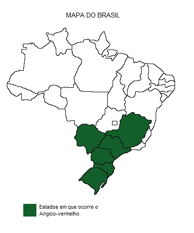 Mapa de região