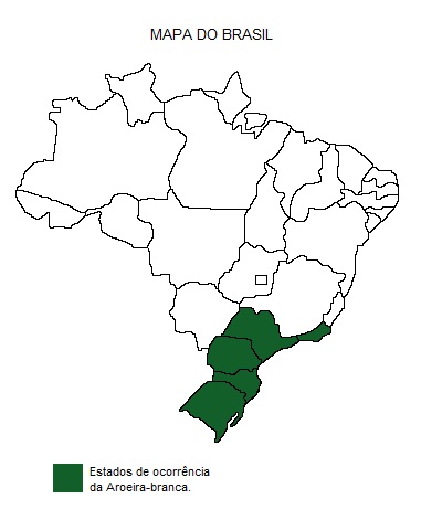Mapa de região