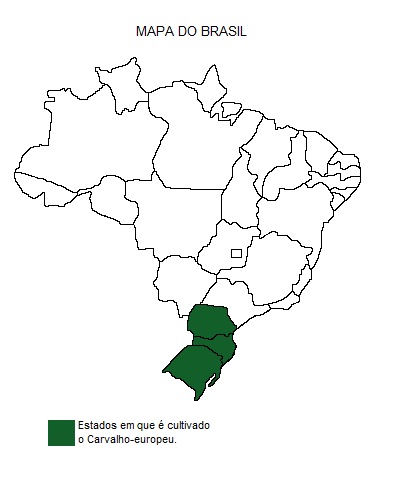 Mapa de região