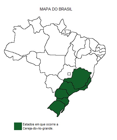 Mapa de região