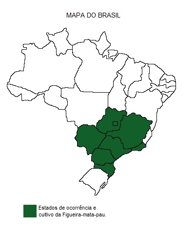 Mapa de região