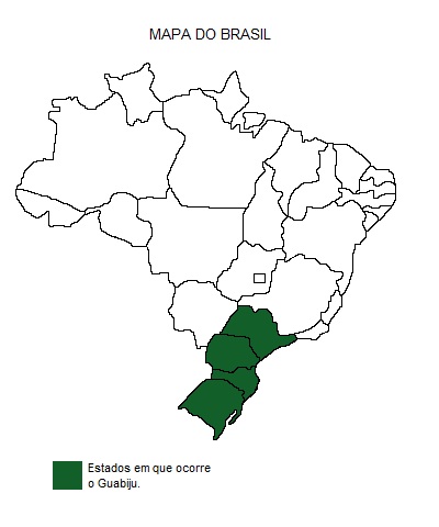 Mapa de região