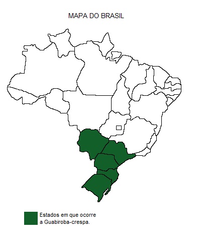 Mapa de região