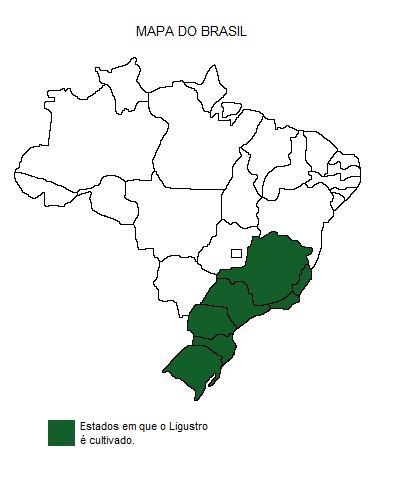 Mapa de região
