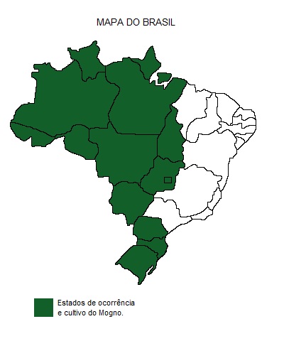 Mapa de região
