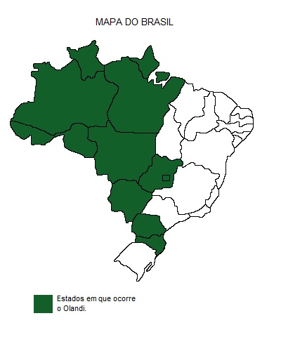 Mapa de região