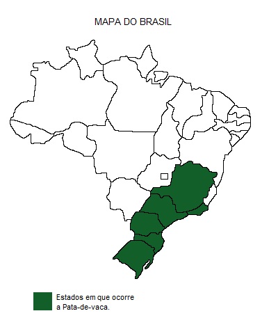 Mapa de região