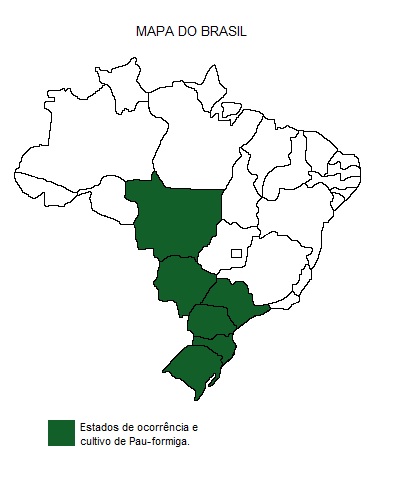 Mapa de região