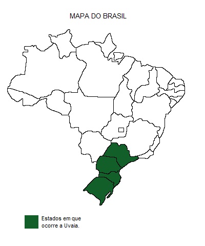 Mapa de região